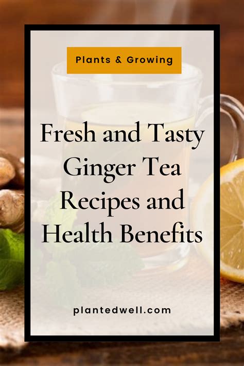 Tasty Ginger Tea Recipes And Health Benefits Ginger Tea Recipe