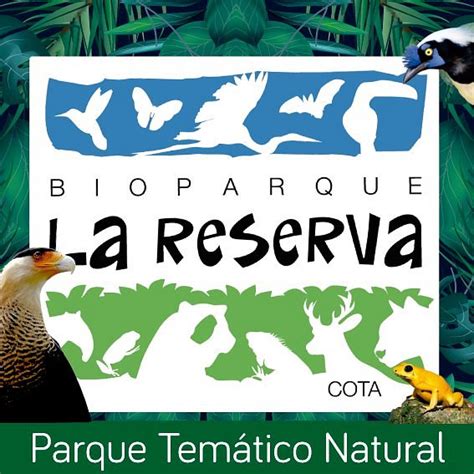 Bioparque La Reserva Cota Bioparque La Reserva Yorumları Tripadvisor