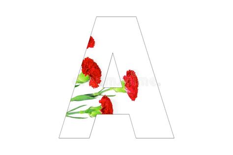 Flower Font Alphabet A Z Made Of Carnation Flowers Stock Illustration