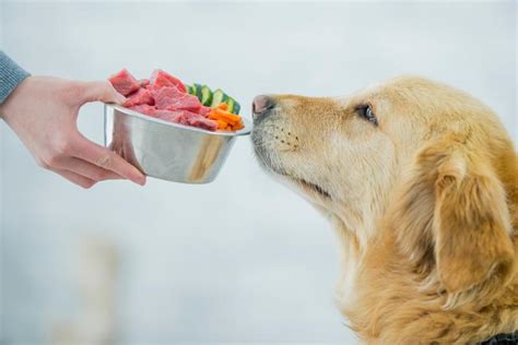 Although it's hard to resist those puppy dog eyes at the dinner table, it may not always be safe to feed your canine companion the same foods you eat. 4 Health Dog Food Recipe Thats Liw Fat - 4health Dog Food ...