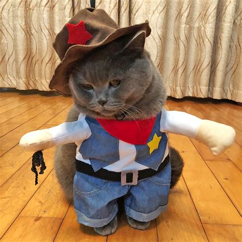 Kitten Puppy Kot Odzież Kostiumy Śmieszne Koty Małe Psy Cowboy Cosplay