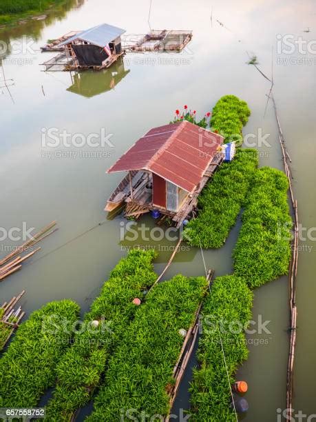 Rumah Perahu Kecil Di Sungai Dengan Rakit Taman Terapung Hijau Foto