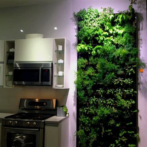 Pin By Rizzy Rae On ボルダピング Herb Wall Indoor Herb Garden Diy Herb