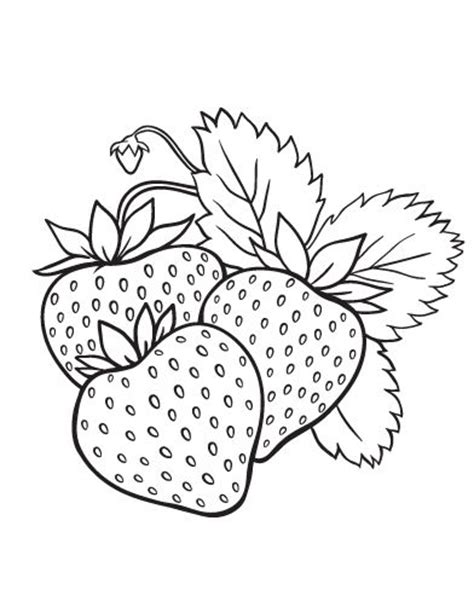 Nov 09, 2019 · these free printable thank you coloring pages are fun for kids and can help you teach your children about the power of gratitude. Printable strawberry coloring page. Free PDF download at ...
