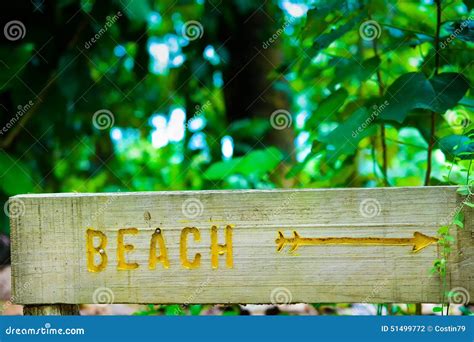 Wooden Beach Sign Stock Photo Image Of Nature Sign 51499772