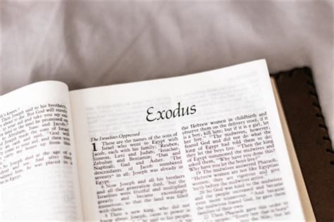What Does Exodus Mean The Word Counter