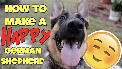 How To Make A Happy German Shepherd Youtube