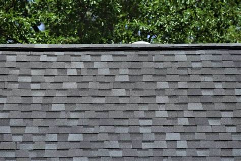 Atlas Pinnacle Pristine Coastal Granite - Baker Roofing Company