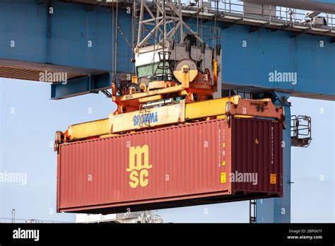 Transtainer Crane Moving An Msc Shipping Container To A Storage