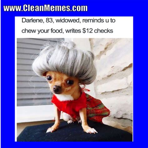 So, a portion of sincere, genuine laughter is guaranteed with the funniest cat memes on the planet! Clean Memes 01-25-2018 - Clean Memes