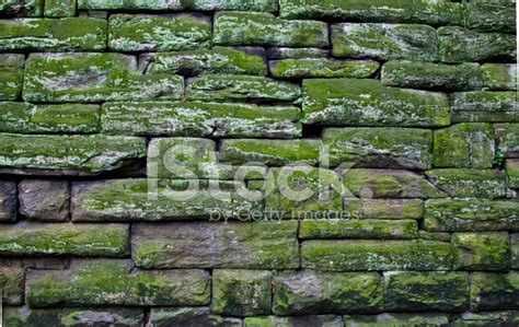 Moss Covered Stone Wall Stock Photo Royalty Free Freeimages