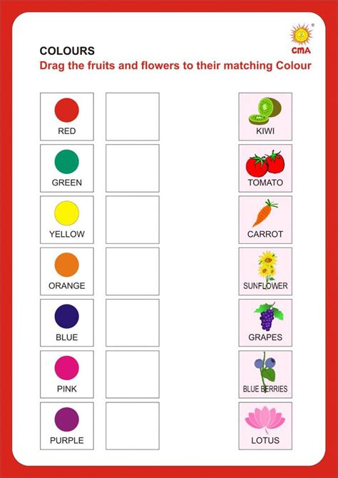 Colors Worksheet Exercises