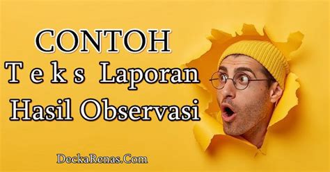 10 Contoh Teks Laporan Hasil Observasi Beserta Strukturnya (2022)