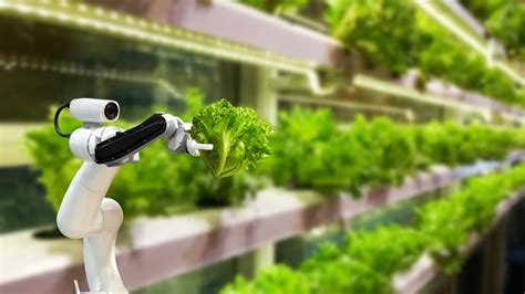 5 Innovative Vertical Farming Equipment Future Of Farming The Futurist Future Agriculture