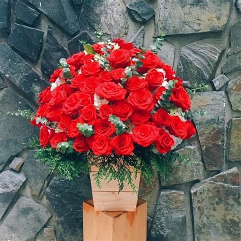 Hoa Hồng đỏ Có ý Nghĩa Gì Đặc điểm Phân Loại Và Cách Cắm đẹp Nhất