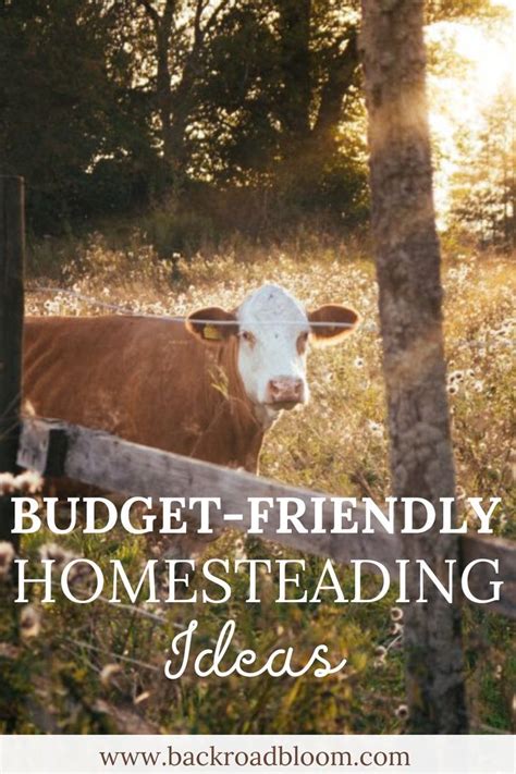 How To Start Homesteading When Youre Flat Broke Back Road Bloom