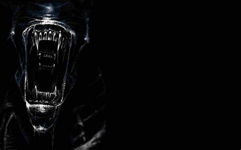 Xenomorph Wallpapers 63 Pictures