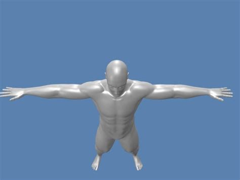 Free 3ds Model Sculpted Male