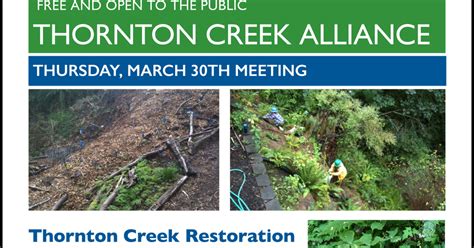 Shoreline Area News Thornton Creek Restoration Opportunities With