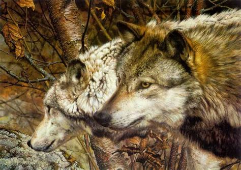 Art Country Canada Carl Brenders Wolves Wildlife Paintings