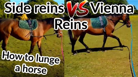 Side Reins Vs Vienna Reins Comparing Lunging Equipment Part 1 Youtube