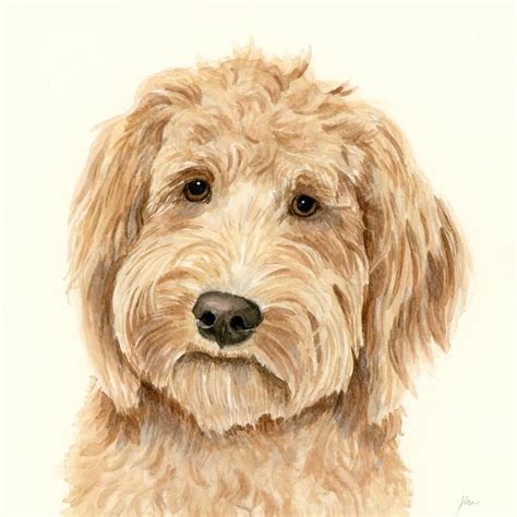Pet Portrait Dog In Watercolor Goldendoodle Dog Art Custom Dog