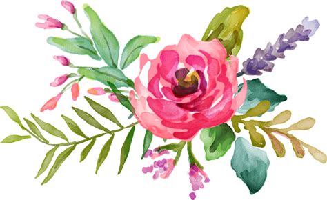 Water Color Clipart Flower Accent Vector Pink Watercolor Flowers