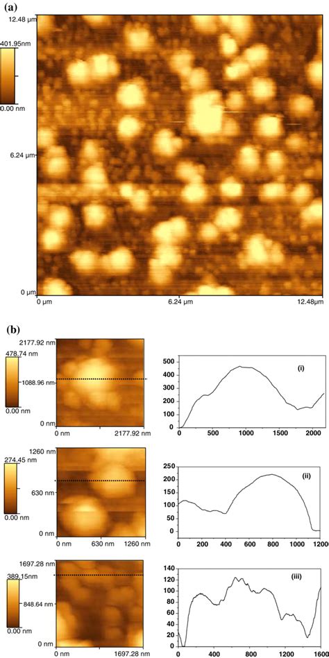 Images Of Phosphate Islands Of Dtpa On Steel Grown Thermally At 150 °c