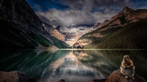 Lake Louise Alberta Canada Forest Mountain Landscape Reflected