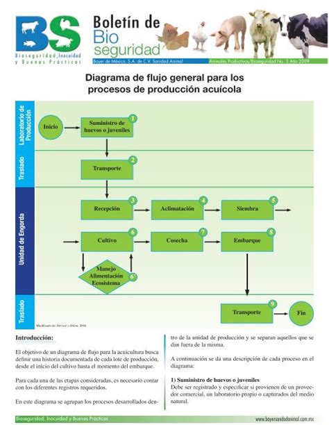 Diagrama De Flujo General Para Los Procesos De Producción Acuícola