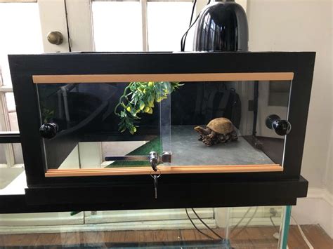 A Turtle Is Sitting On The Ground In Front Of A Glass Case With Its