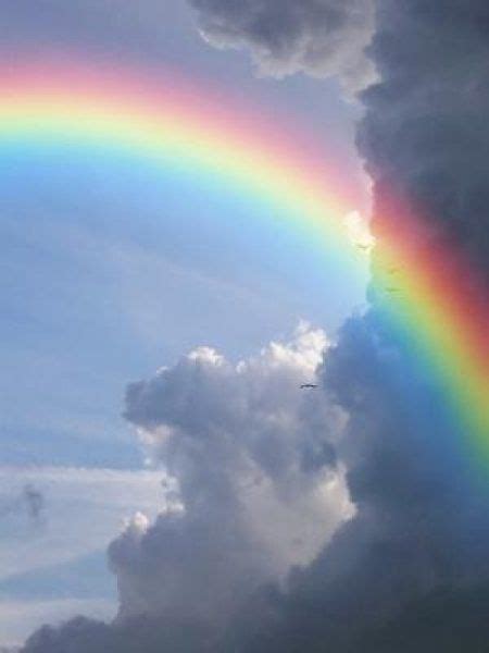 Computer Simulations Shed Light On The Physics Of Rainbows Rainbow