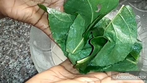 Bitter leaf is a very healthy vegetable and can be prepared in different ways, one of the ways of making bitter leaf soup is to combine bitter leaf soup is best served with fufu or eba. HOW TO PREPARE BITTER LEAF JUICE - YouTube