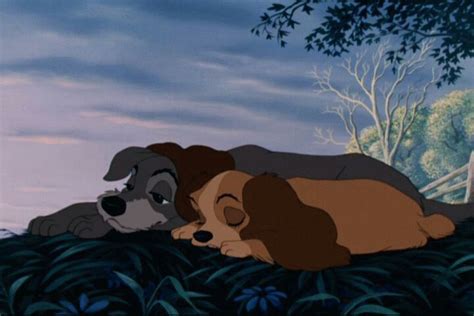 Lady And Tramp Sleeping Under The Star ディズニー