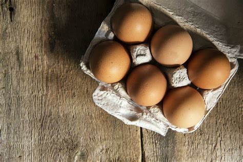 Can Egg Allergy Cause Rash In Dogs