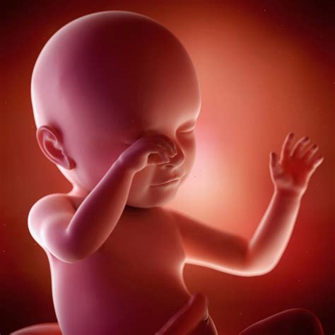 39 Semanas De Embarazo Y Sin Contracciones - 39 Semanas de embarazo: Puede nacer cuando quiera