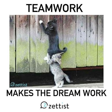 Funny Teamwork Memes For Work Coolest Funniest And The Dankest