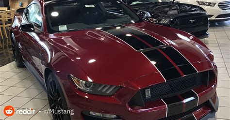 Gorgeous Ruby Red Gt350 At My Local Dealer Mustang