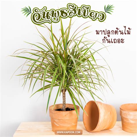 วันอาทิตย์ที่ ๓๐ พฤษภาคม พ.ศ.๒๕๖๔ แรม ๔ ค่ำ เดือน ๗(วันนี้ยังไม่เหมาะแก่การกระทำการมงคล)เคล็ดดวงดี. ดูดวงรายวัน เช็กดวงวันนี้ วันที่ 24 มีนาคม 2564