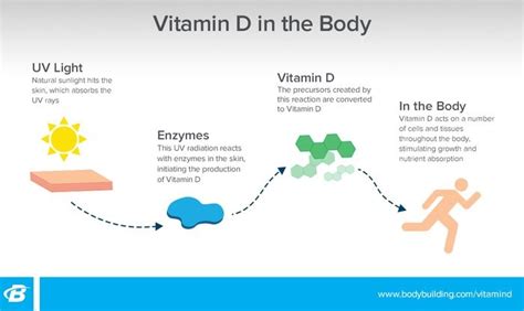 Typically, we get a vitamin d boost from the sun, but because we are wearing more sunscreen and spending more time inside our levels are falling, putting us at greater health risks. Vitamin D: the sunshine vitamin you need to know more ...
