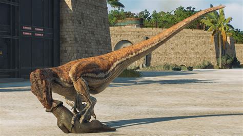 Panthera Appreciation Post I Feel Like Out Of The Atrociraptor Skins Panthera Doesnt Get That