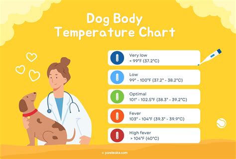 Dog Temperature Chart Printable