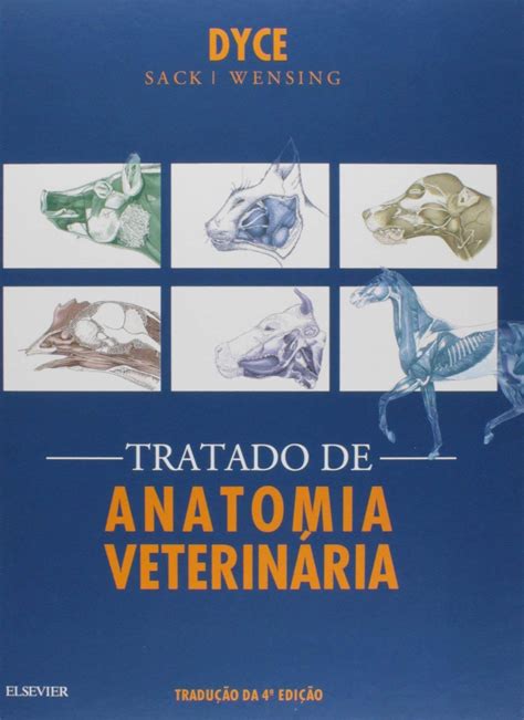 Tratado De Anatomia Veterinária 4 Ed Pdf Meulivro