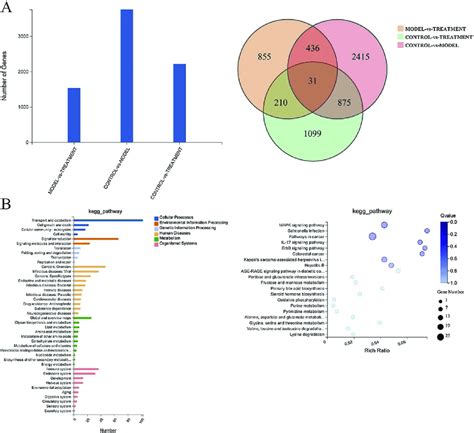 differentially expressed genes degs and kegg analysis a deg map download scientific diagram