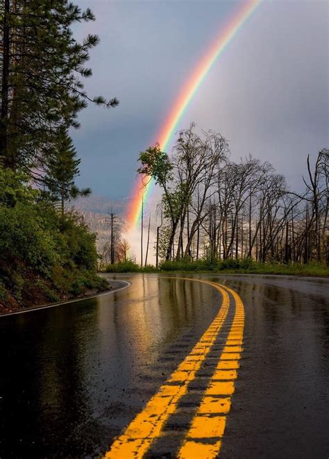 🇺🇸 Rainbow And Rainy Road Yosemite National Park California Posted