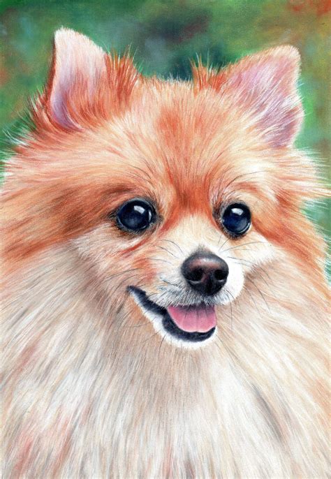 Amazing Dog Tutorial Pomeranian In 2021 Watercolor Dog Puppy Art