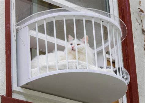 Cat Solarium Cats Outside Indoor Cat Cat Window
