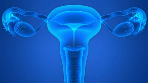 vulvodynia symptoms causes types and other risk factors