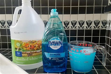 Homemade Bathroom Cleaner Vinegar Dawn Lemon Juice Bios Pics