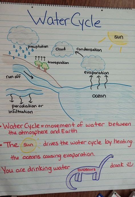 20 Best Water Cycle Sci 5 Images Water Cycle Science Anchor Charts